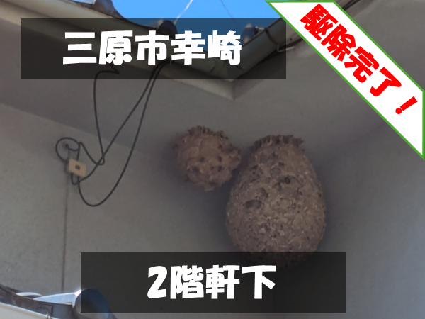 三原市幸崎 2階軒下 駆除完了