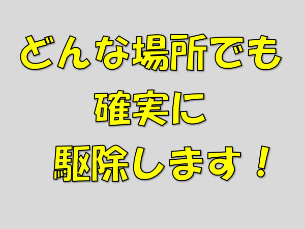 どんな場所でも確実に駆除