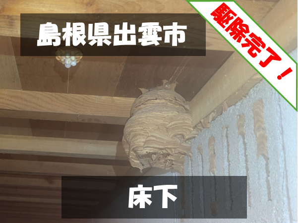 島根県出雲市 床下 駆除完了