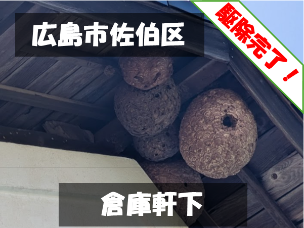 広島市佐伯区 倉庫軒下 駆除完了