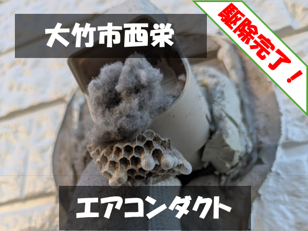 大竹市西栄 エアコンダクト 駆除完了